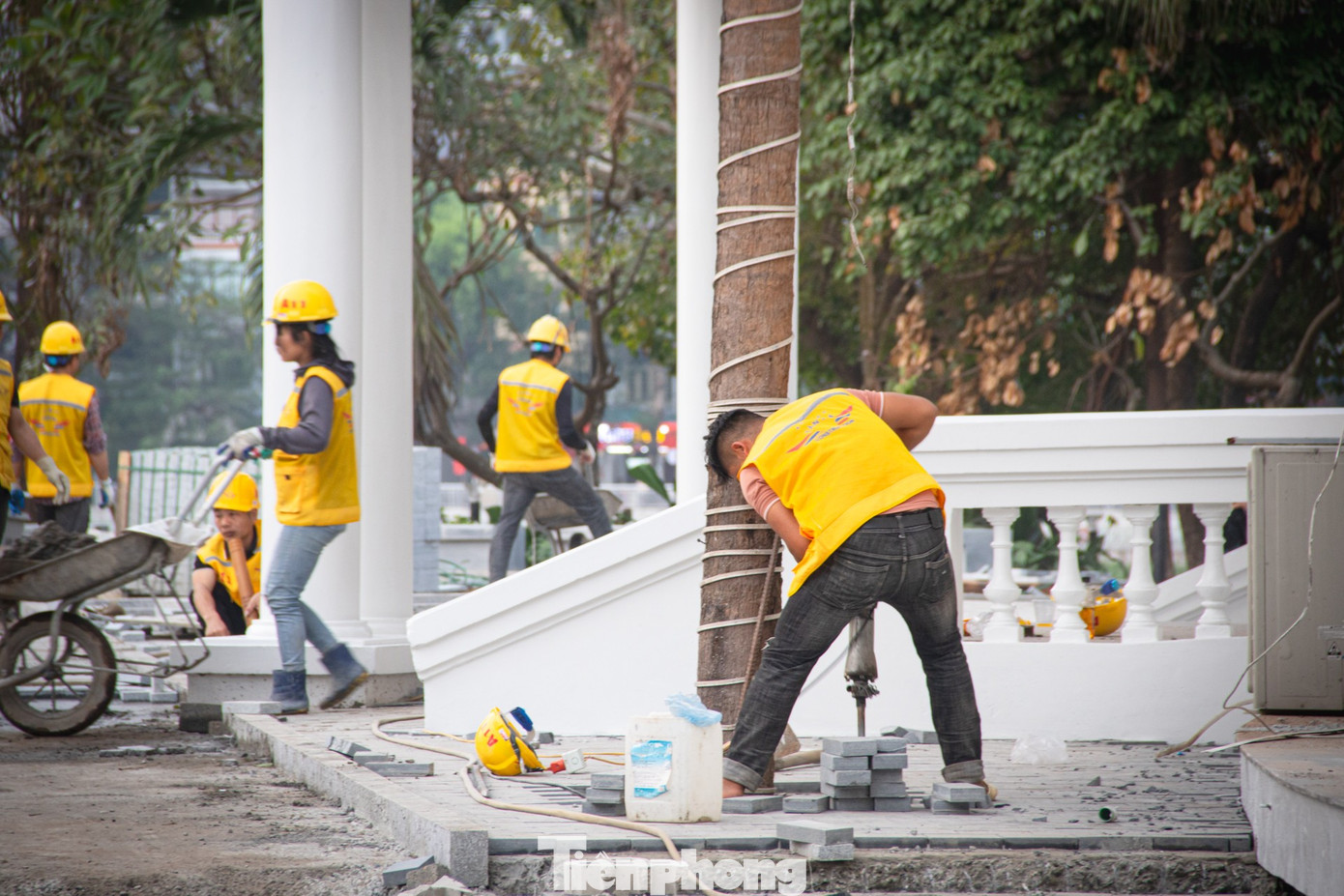 Chỉnh trang bán đảo hồ Đống Đa: Tạo điểm vui chơi mới cho cộng đồng 2026 - Ảnh 7.