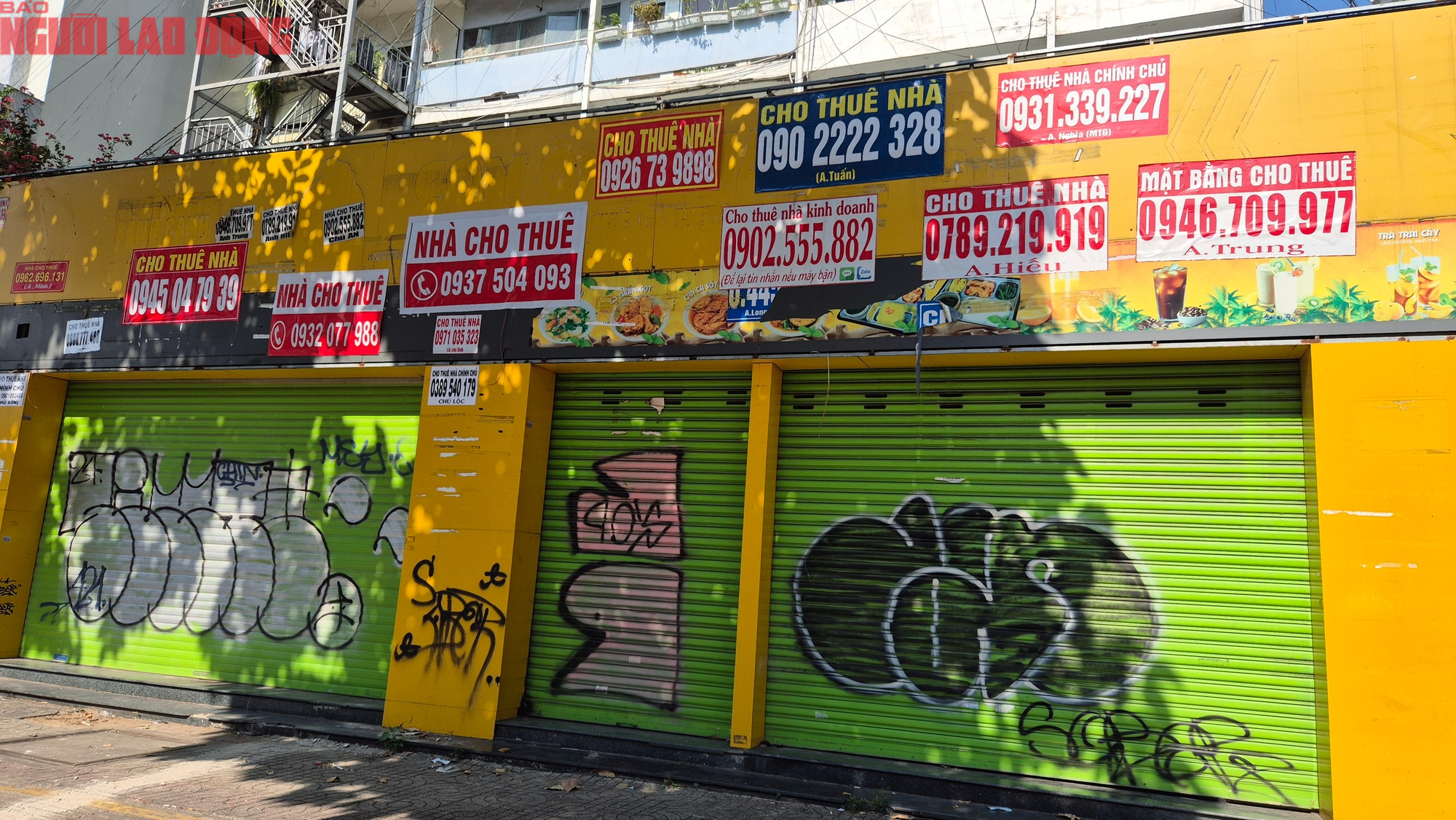 - Ảnh 4. - Ảnh 4.