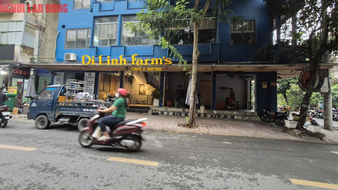 - Ảnh 13. - Ảnh 13.