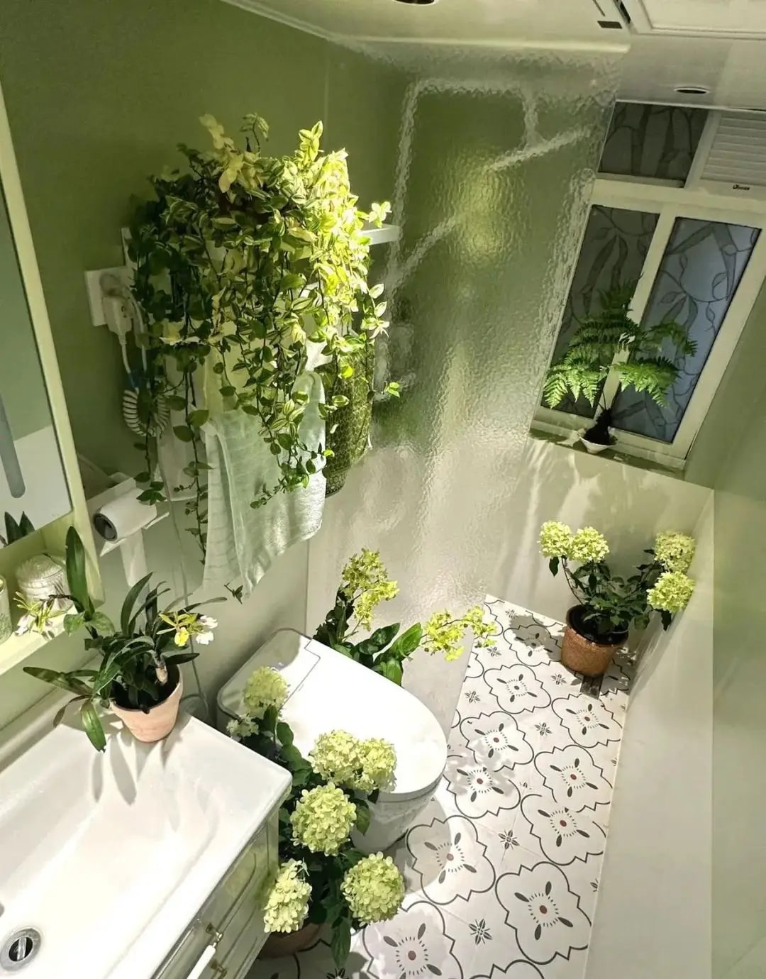 3 Vị trí không nên trồng cây giúp bạn sống thỏai mái hơn trong không gian nhà - Ảnh 1. 3 Vị trí không nên trồng cây giúp bạn sống thỏai mái hơn trong không gian nhà - Ảnh 1.