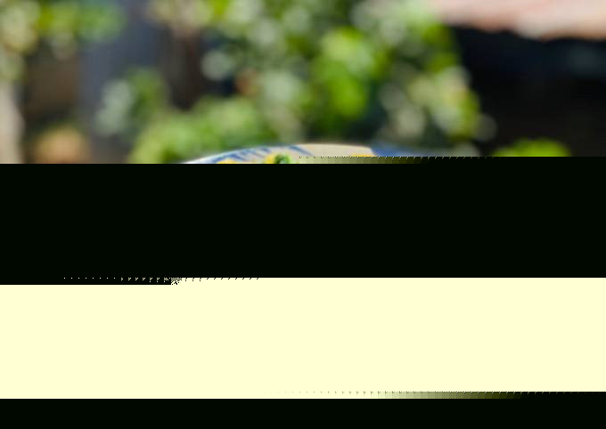 Trứng luộc giữ protein tốt nhất cho sức khỏe và dinh dưỡng hàng ngày - Ảnh 4. Trứng luộc giữ protein tốt nhất cho sức khỏe và dinh dưỡng hàng ngày - Ảnh 4.