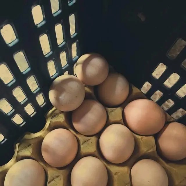 3 Lọai trứng nguy hiểm bạn nên tránh xa khi mua để bảo vệ sức khỏe - Ảnh 2. 3 Lọai trứng nguy hiểm bạn nên tránh xa khi mua để bảo vệ sức khỏe - Ảnh 2.