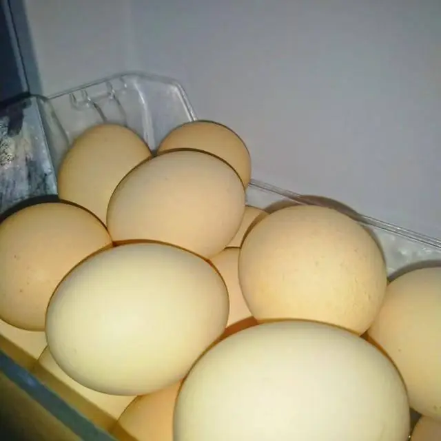 3 Lọai trứng nguy hiểm bạn nên tránh xa khi mua để bảo vệ sức khỏe - Ảnh 1. 3 Lọai trứng nguy hiểm bạn nên tránh xa khi mua để bảo vệ sức khỏe - Ảnh 1.