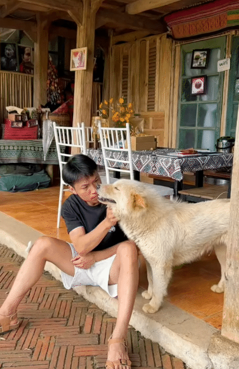 Cuộc sống giản dị ở quê: Khám phá hành trình rời Hà Nội lên núi làm vườn - Ảnh 4.