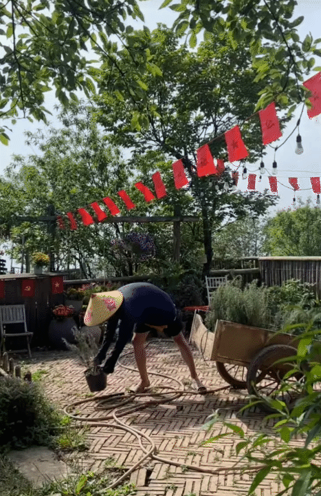 Cuộc sống giản dị ở quê: Khám phá hành trình rời Hà Nội lên núi làm vườn - Ảnh 11.