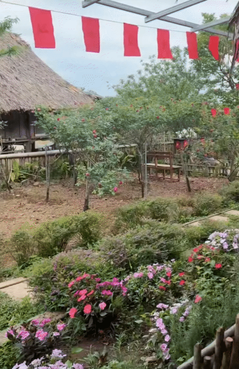 Cuộc sống giản dị ở quê: Khám phá hành trình rời Hà Nội lên núi làm vườn - Ảnh 12.