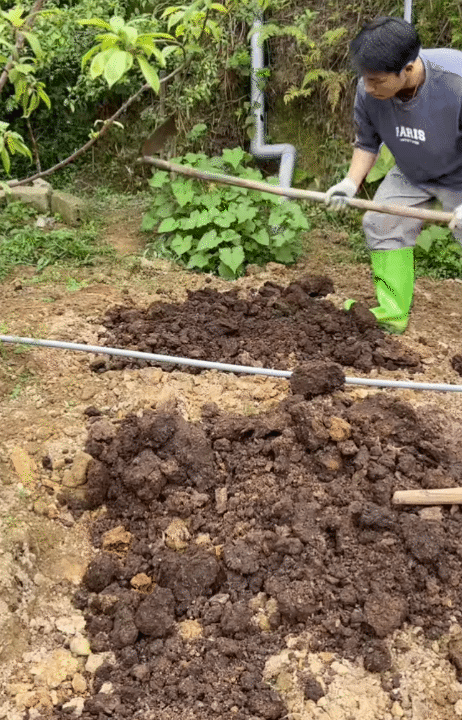 Cuộc sống giản dị ở quê: Khám phá hành trình rời Hà Nội lên núi làm vườn - Ảnh 6.