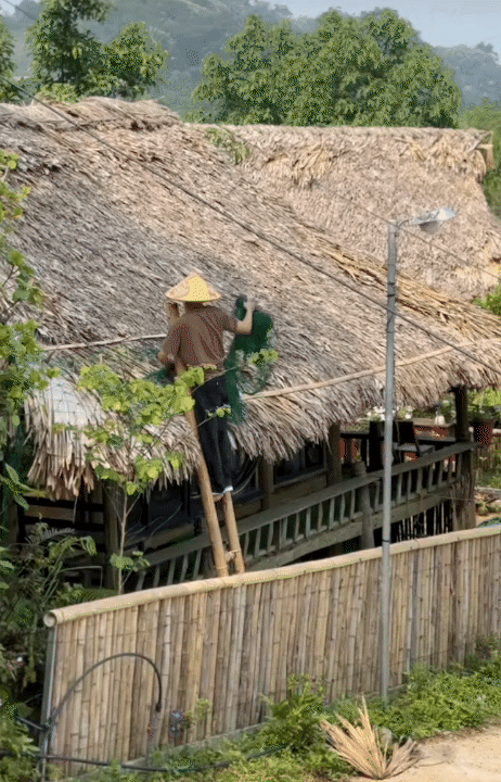 Cuộc sống giản dị ở quê: Khám phá hành trình rời Hà Nội lên núi làm vườn - Ảnh 8.