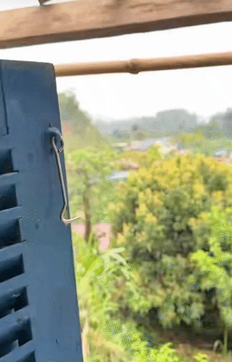 Cuộc sống giản dị ở quê: Khám phá hành trình rời Hà Nội lên núi làm vườn - Ảnh 17.