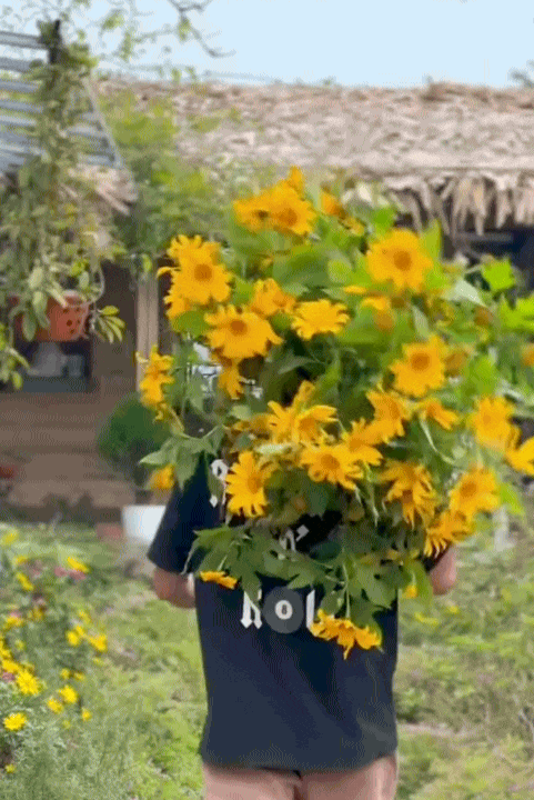 Cuộc sống giản dị ở quê: Khám phá hành trình rời Hà Nội lên núi làm vườn - Ảnh 3.