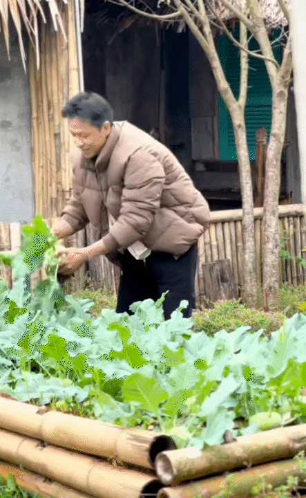 Cuộc sống giản dị ở quê: Khám phá hành trình rời Hà Nội lên núi làm vườn - Ảnh 19.