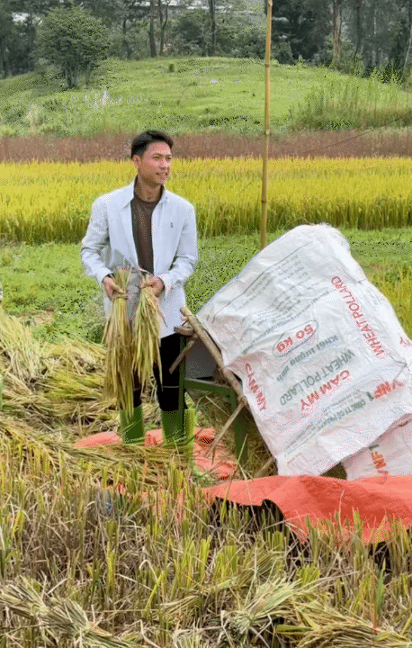 Cuộc sống giản dị ở quê: Khám phá hành trình rời Hà Nội lên núi làm vườn - Ảnh 2.