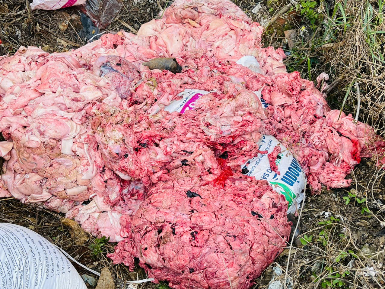 Đột xuất kiểm tra các hộ kinh doanh: Hàng loạt vi phạm được phơi bày, nhiều trường hợp bị phạt nặng - Ảnh 2. Đột xuất kiểm tra các hộ kinh doanh: Hàng loạt vi phạm được phơi bày, nhiều trường hợp bị phạt nặng - Ảnh 2.