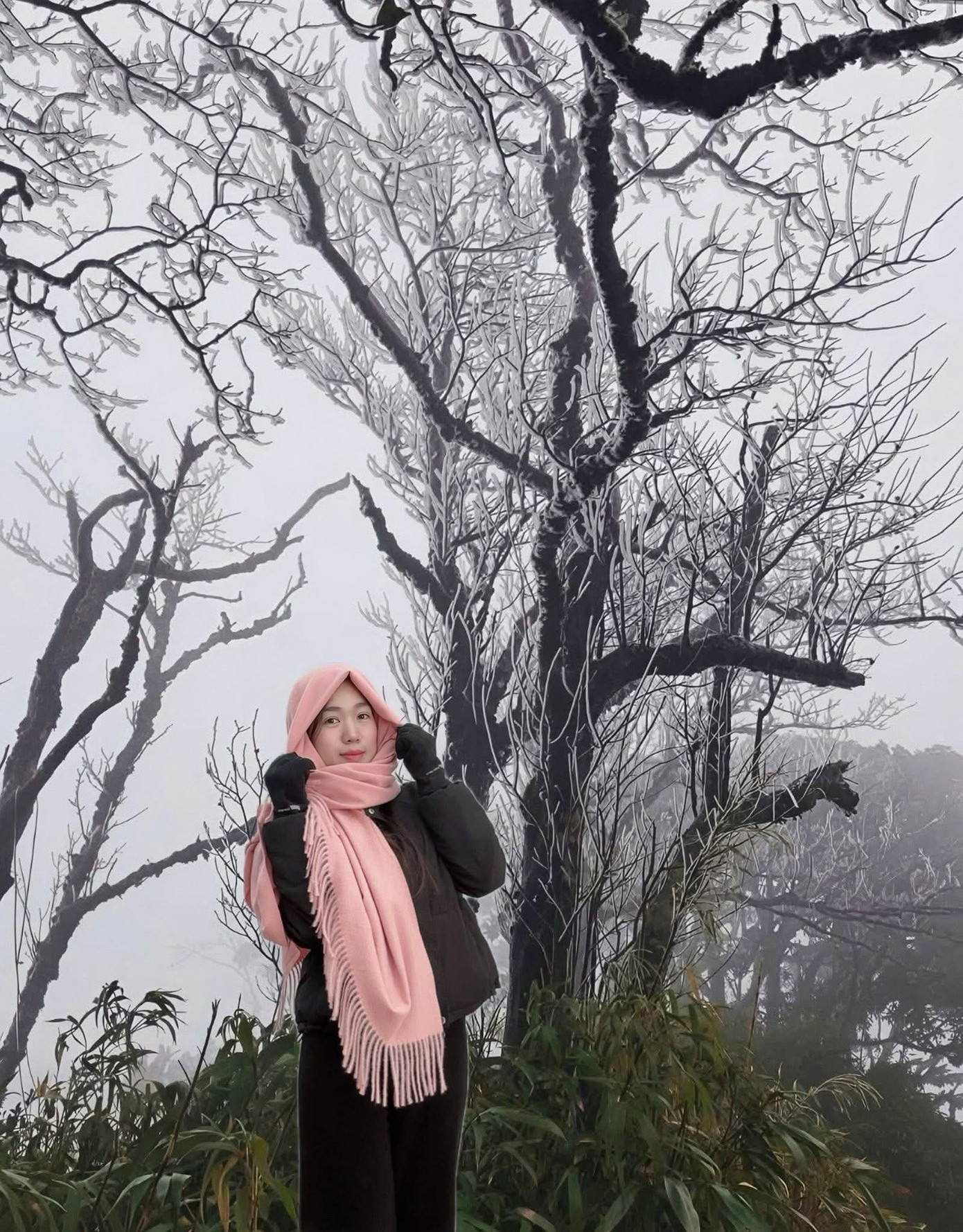 Băng giá Phia Oắc: Điểm đến mới mẻ bên cạnh Fansipan và Mẫu Sơn - Ảnh 9.