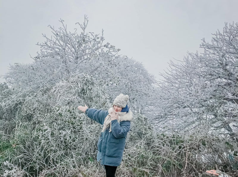 Băng giá Phia Oắc: Điểm đến mới mẻ bên cạnh Fansipan và Mẫu Sơn - Ảnh 7.