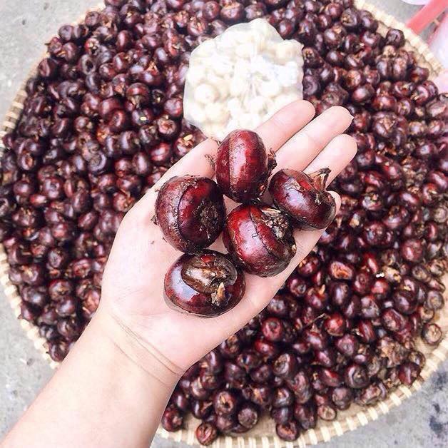 Lợi ích củ mã thầy giúp giải độc , bổ phổi và hạ huyết áp cho cả gia đình - Ảnh 1.