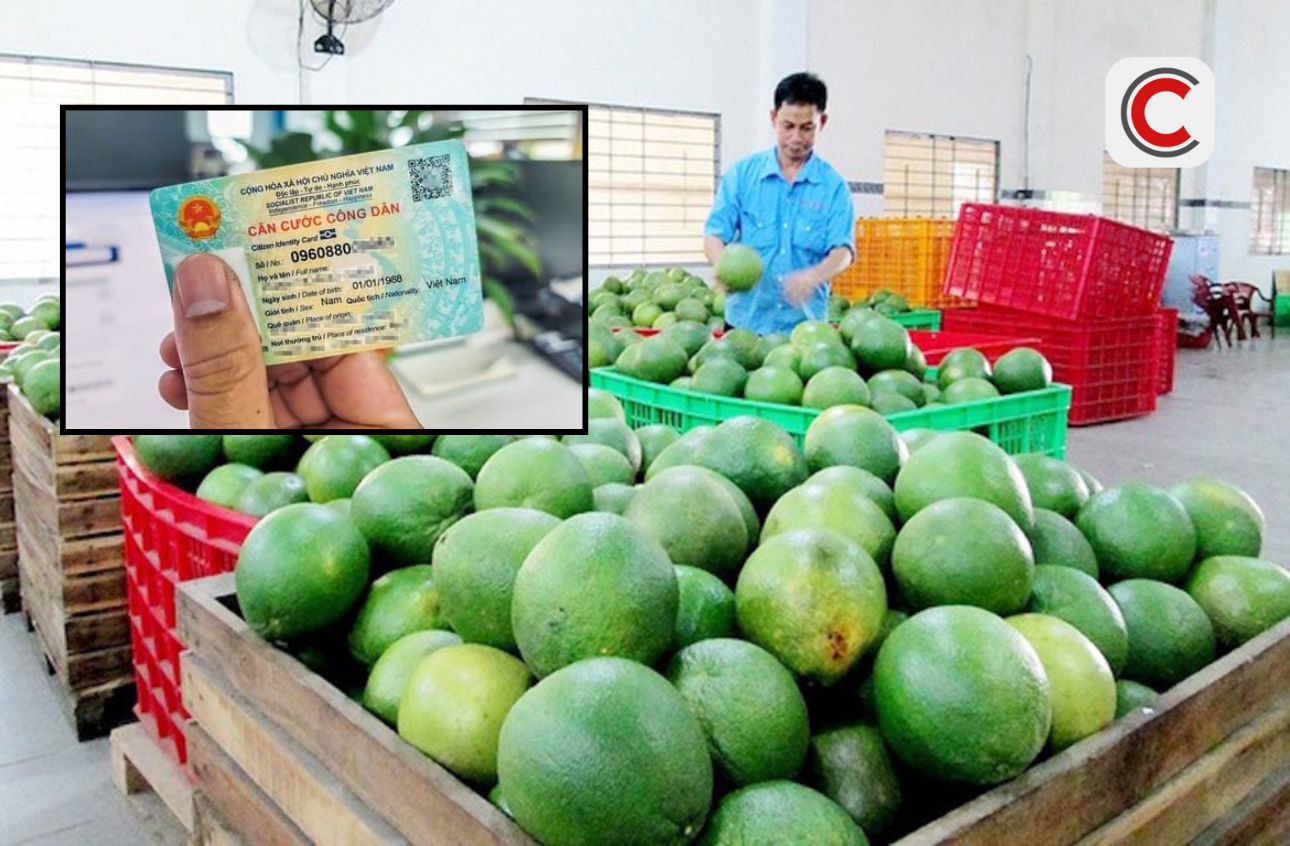 Cục Thuế nói rõ việc yêu cầu người bán hàng phải cung cấp CCCD để kê khai - Ảnh 1. Cục Thuế nói rõ việc yêu cầu người bán hàng phải cung cấp CCCD để kê khai - Ảnh 1.