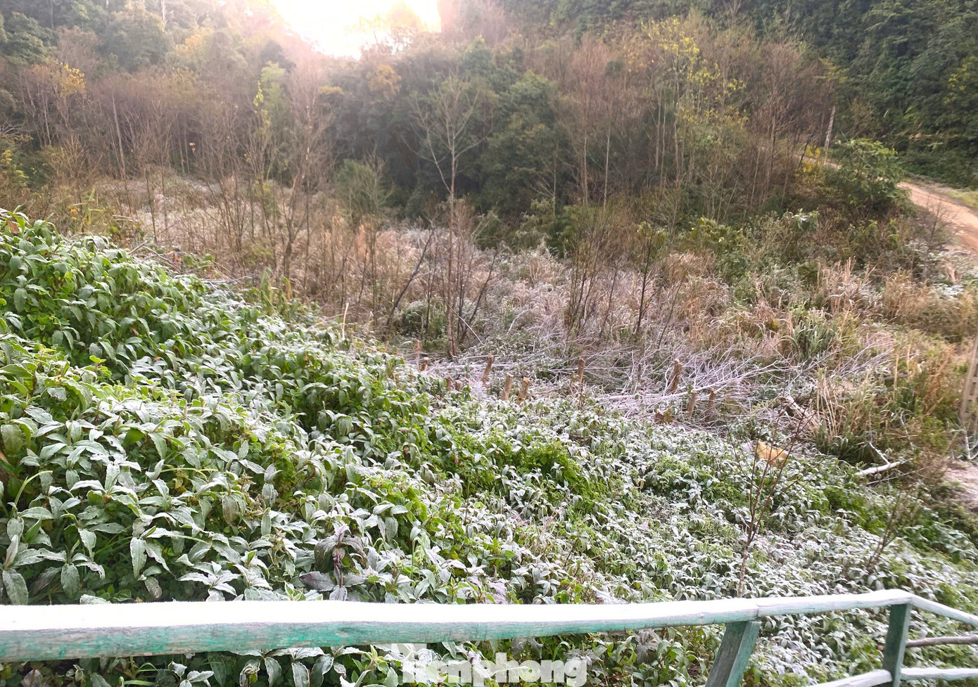 Băng giá miền Trung bất ngờ xuất hiện tại Na Ngoi , Nghệ An gây xôn xao dư luận - Ảnh 3. Băng giá miền Trung bất ngờ xuất hiện tại Na Ngoi , Nghệ An gây xôn xao dư luận - Ảnh 3.