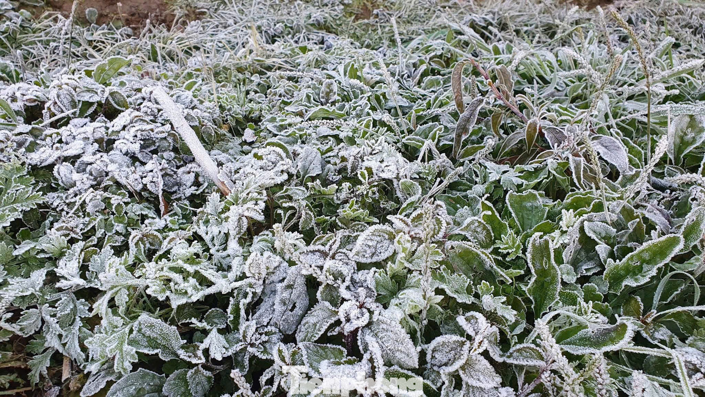 Băng giá miền Trung bất ngờ xuất hiện tại Na Ngoi , Nghệ An gây xôn xao dư luận - Ảnh 2. Băng giá miền Trung bất ngờ xuất hiện tại Na Ngoi , Nghệ An gây xôn xao dư luận - Ảnh 2.