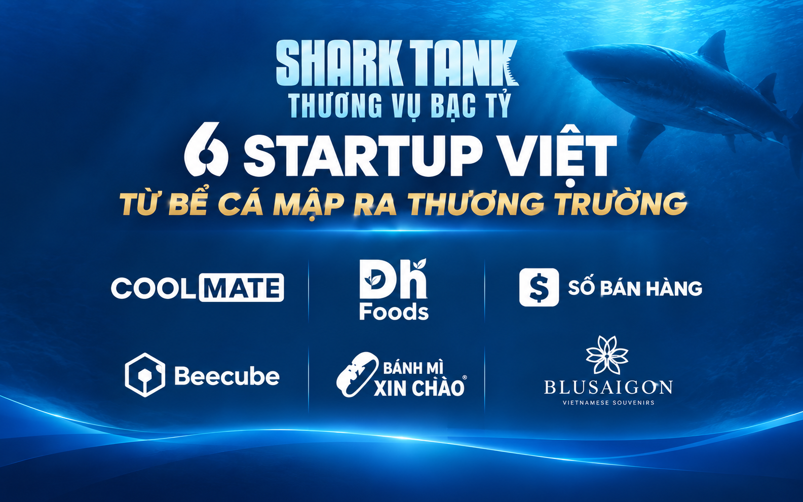6 startup Việt nổi bật sau Shark Tank Việt Nam: Có doanh nghiệp tiến tới vòng gọi vốn hơn 22 triệu USD