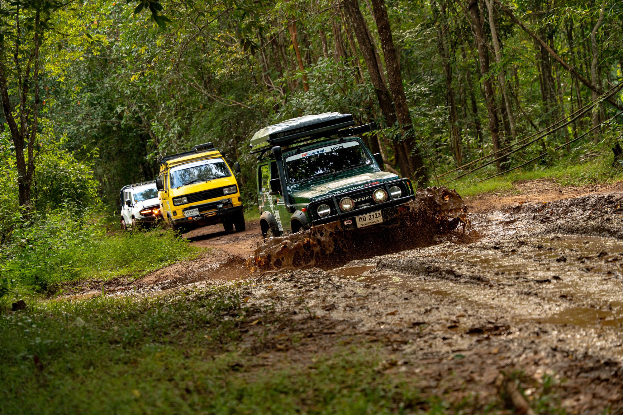 - Ảnh 2. - Ảnh 2.