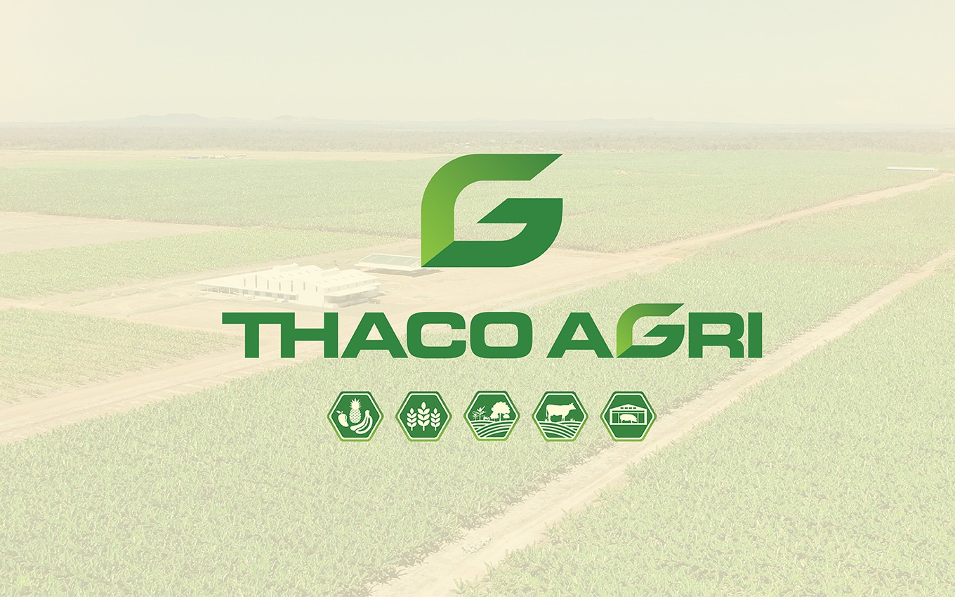 Thaco Agri bị phạt 92,5 triệu đồng vì chậm công bố loạt báo cáo