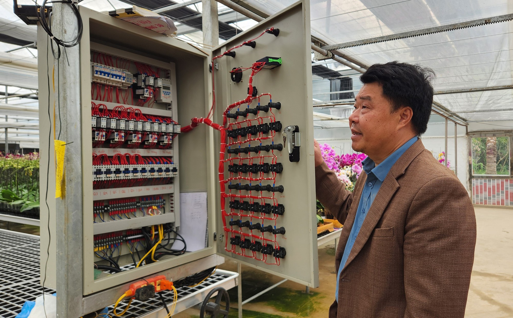 Đầu tư 10 tỉ đồng trồng lan hồ điệp cho Tết 2026 tại thanh hóa - Ảnh 4.