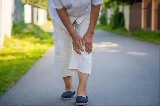 Trứng đứng thứ 5 trong số các loại thực phẩm giàu protein phù hợp nhất cho người cao tuổi, đứng đầu "món" mà hầu hết mọi người không nghĩ tới- Ảnh 4.