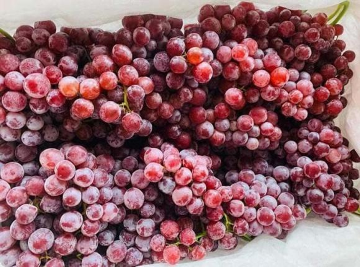 Điểm mặt 2 loại quả dễ “tắm” hóa chất, quả đứng đầu giòn ngọt, nhà nào cũng mê - Ảnh 2.