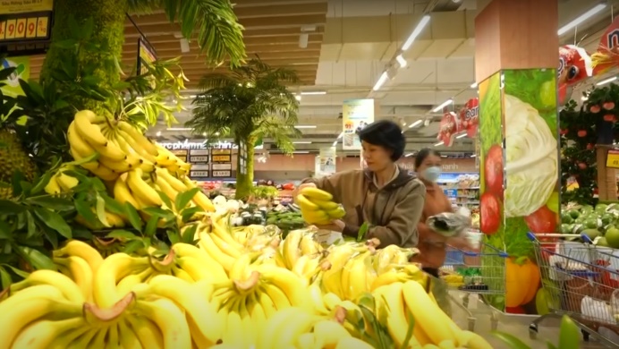 Chuối Tiến Vua khan hiếm do thời tiết, sản lượng giảm mạnh - Ảnh 1.