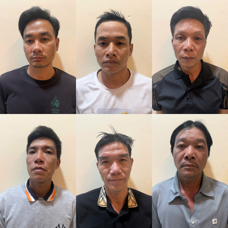 Vụ trộm 5.200 con chó, thu lợi bất chính 2,6 tỉ đồng: Khởi tố, tạm giam 6 đối tượng - Ảnh 1.