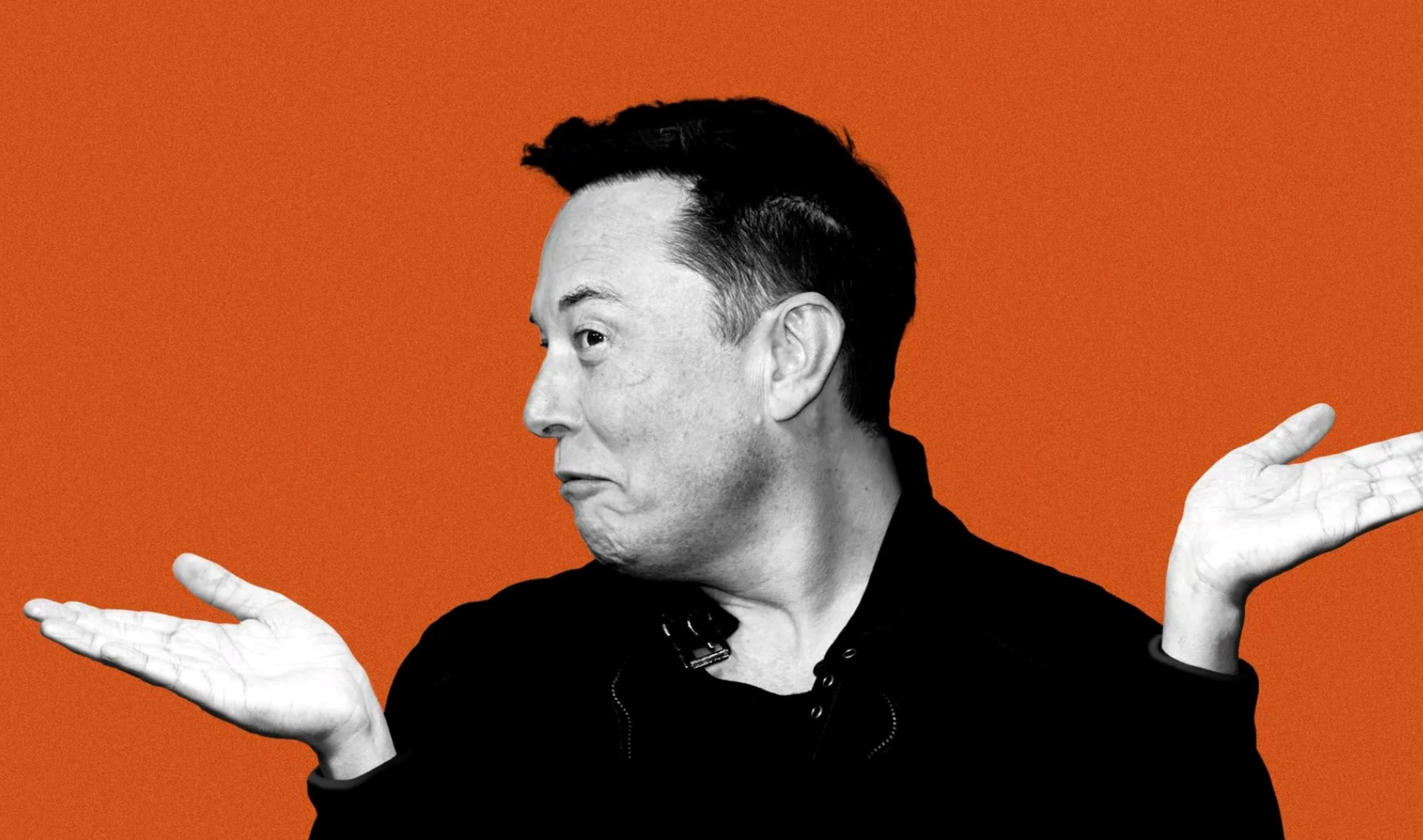 Elon Musk cảnh báo nghề lập trình sẽ ' chết ' vào năm 2026 , cần kỹ năng mới để tồn tại - Ảnh 2.