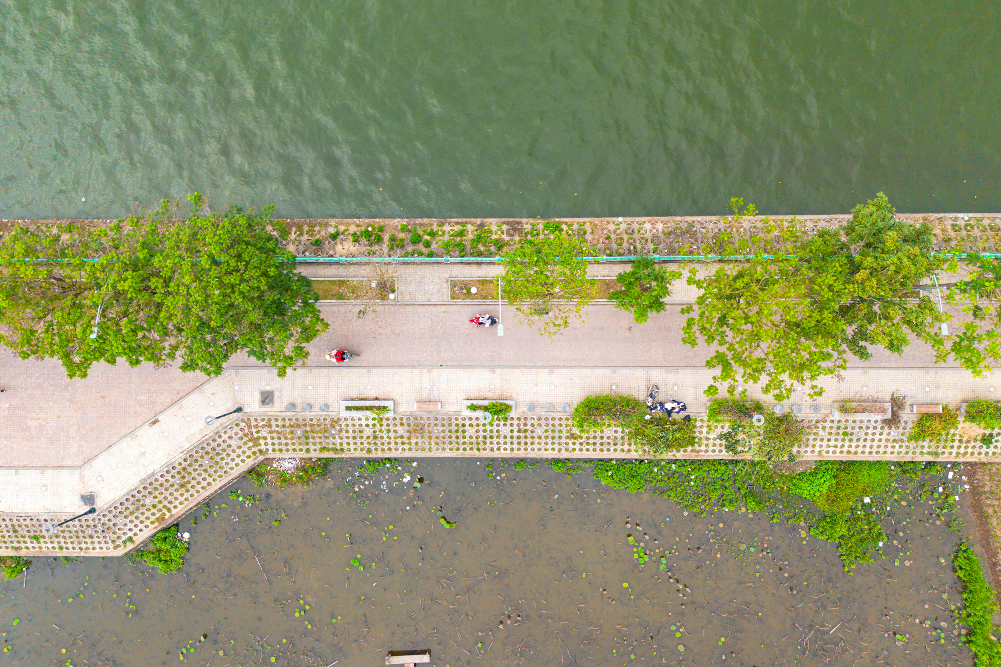 Toàn cảnh dự án 30.000 tỷ giúp hồ Tây “lột xác”: Giữ nguyên mặt nước, thêm vườn hoa, quảng trường nổi và bãi xe ngầm- Ảnh 11.