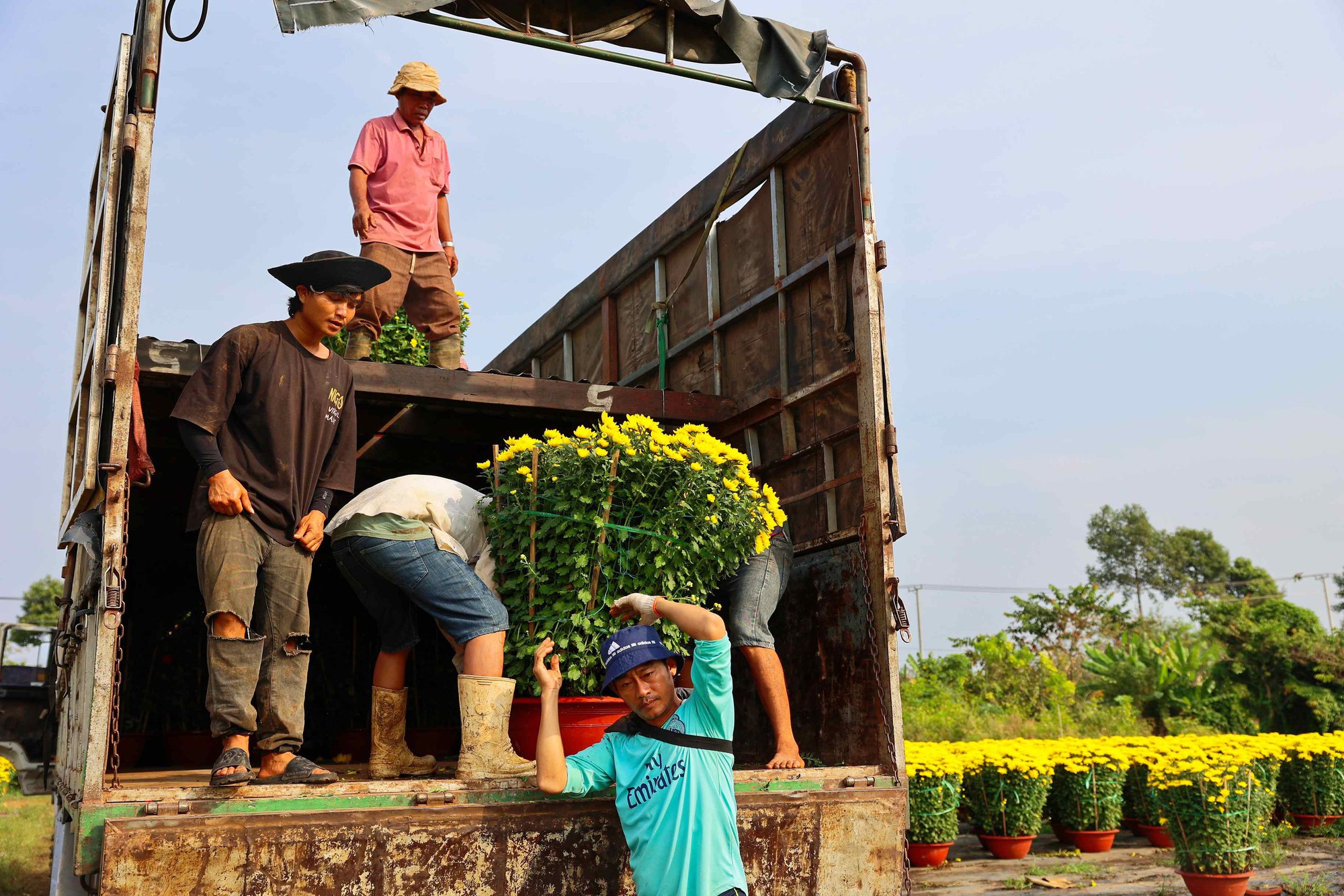 Hoa Tết vào mùa cao điểm: Rộn ràng xe hoa, thấp thỏm nỗi lo - Ảnh 2.
