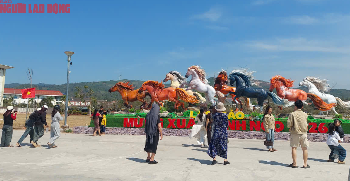 Dòng người đến "check-in" đàn linh vật ngựa oai phong ở Quảng Trị - Ảnh 1.