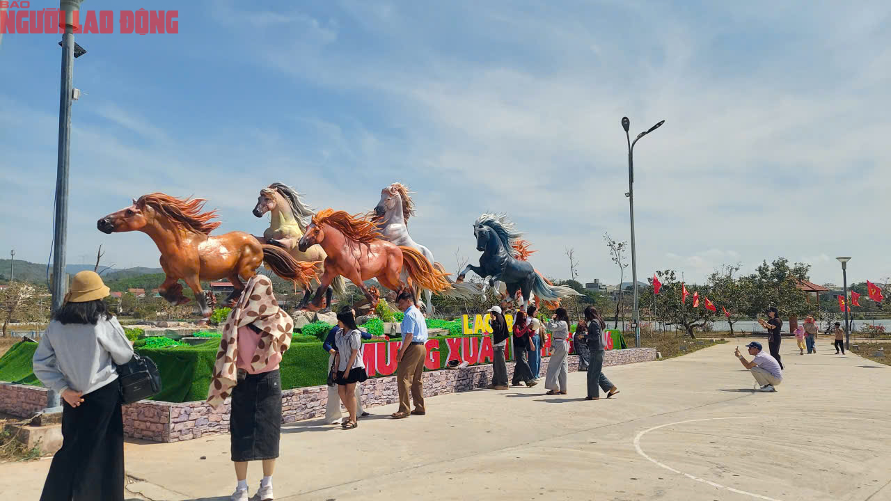 Dòng người đến "check-in" đàn linh vật ngựa oai phong ở Quảng Trị - Ảnh 3.