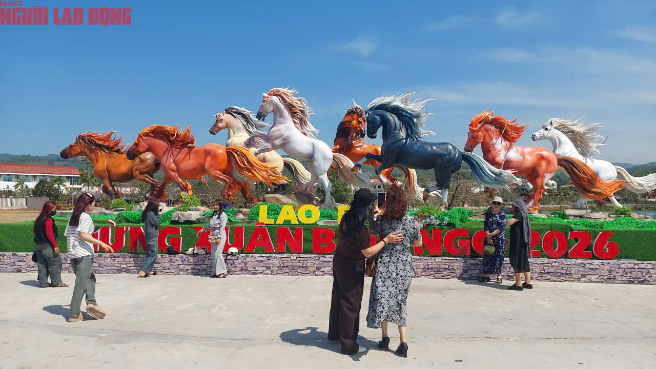 Dòng người đến "check-in" đàn linh vật ngựa oai phong ở Quảng Trị - Ảnh 4.