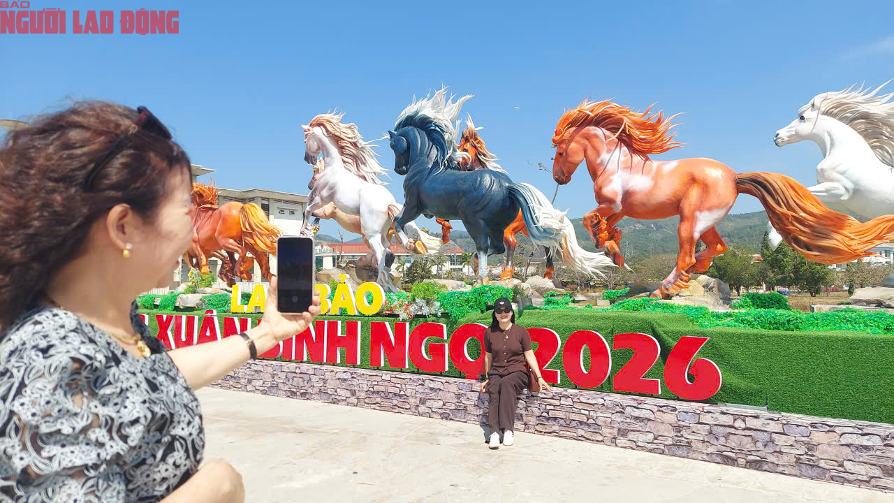 Dòng người đến "check-in" đàn linh vật ngựa oai phong ở Quảng Trị - Ảnh 6.