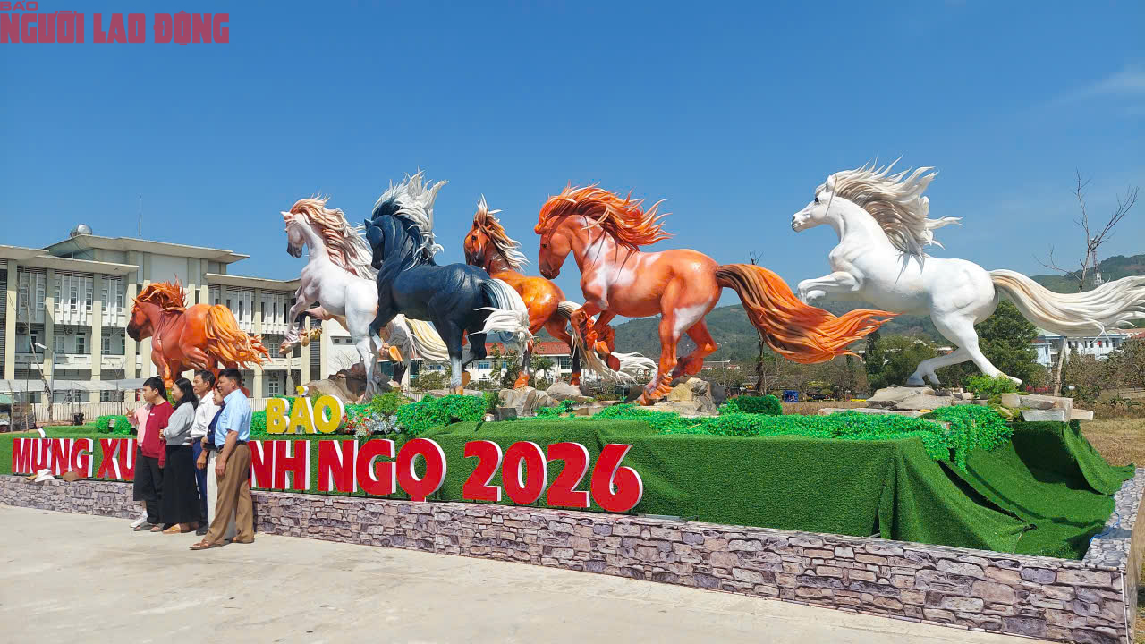 Dòng người đến "check-in" đàn linh vật ngựa oai phong ở Quảng Trị - Ảnh 8.