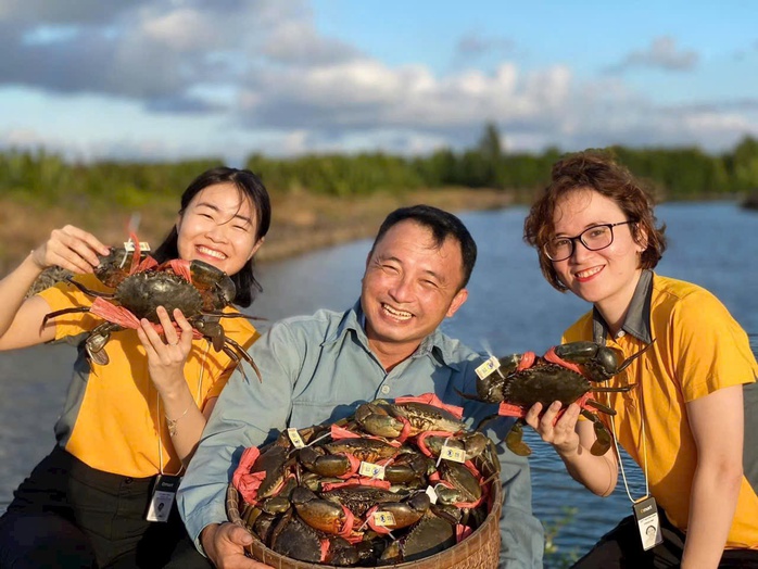 Cua gạch Cà Mau giá 1,3 triệu đồng/kg - Ảnh 1.