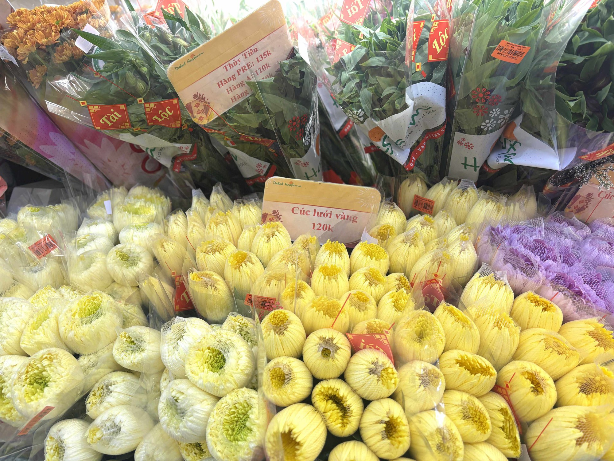 Cập nhật giá cả hoa ngày 28 Tết: Tuyết mai rẻ bất ngờ, cúc đẹp “đỉnh cao”, mộc lan trở thành hot trend - Ảnh 3.