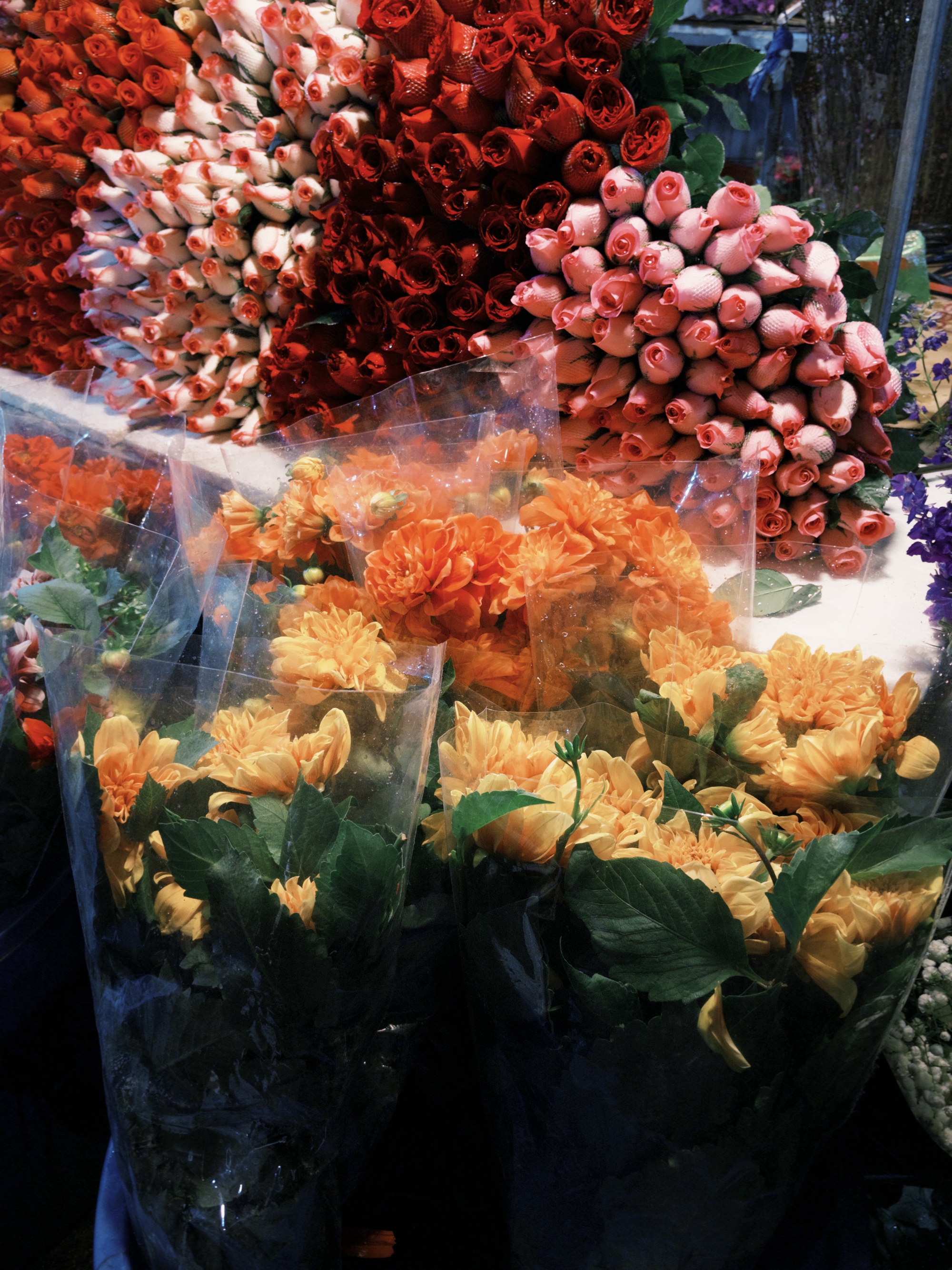 Phát điên vì hoa Tết năm nay!- Ảnh 2.