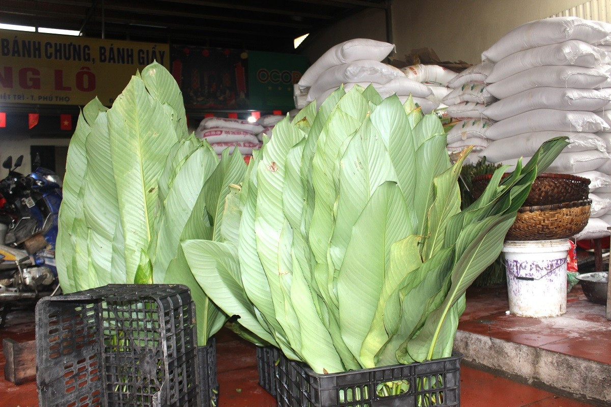 Bánh chưng Hùng Lô: Làng nghề truyền thống đỏ lửa suốt ngày đêm cận Tết 2026 - Ảnh 1.