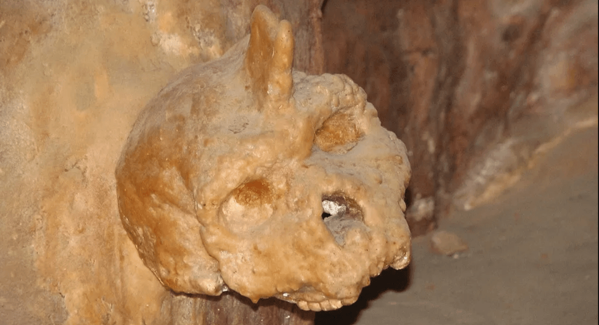 Lịch sử loài người có thể phải viết lại vì phát hiện của một người chăn cừu vào năm 1959 - Ảnh 1.