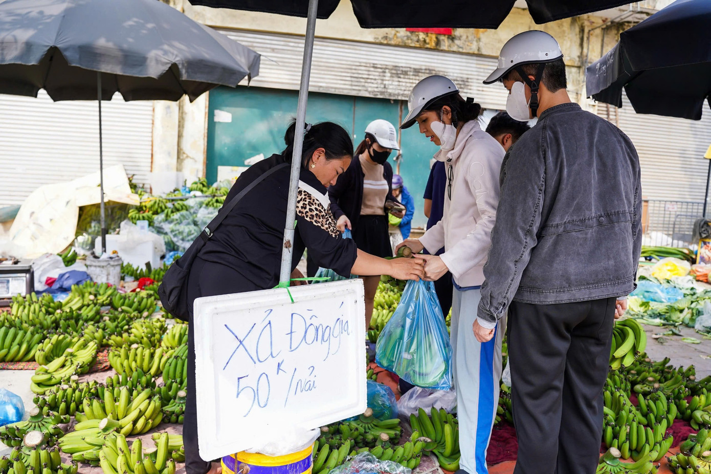 Chuối xanh 28 Tết: Giá rớt từ nửa triệu xuống 30 . 000 Đồng vẫn ế ẩm - Ảnh 7.