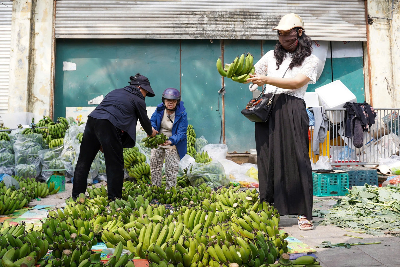 Chuối xanh 28 Tết: Giá rớt từ nửa triệu xuống 30 . 000 Đồng vẫn ế ẩm - Ảnh 2.