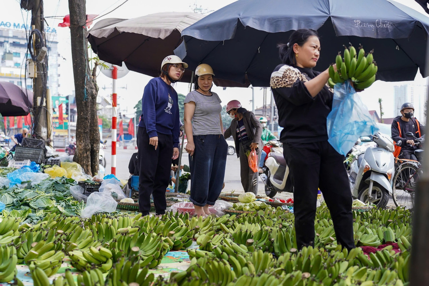Chuối xanh 28 Tết: Giá rớt từ nửa triệu xuống 30 . 000 Đồng vẫn ế ẩm - Ảnh 12.