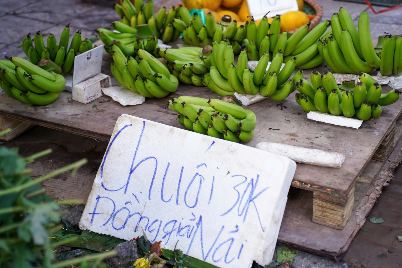 Chuối xanh 28 Tết: Giá rớt từ nửa triệu xuống 30 . 000 Đồng vẫn ế ẩm - Ảnh 9.