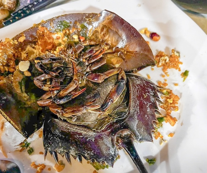 Nhiều người nhập viện do ngộ độc thực phẩm sau khi ăn sò , ốc , sam ở Cà Mau - Ảnh 1.