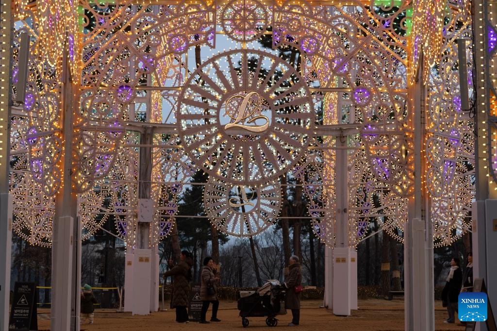 TRỰC TIẾP: Cả châu Á rộn ràng đón Tết Bính Ngọ 2026: Pháo hoa rợp trời tiễn biệt năm cũ, chào mừng một năm mới đầy hy vọng- Ảnh 19.